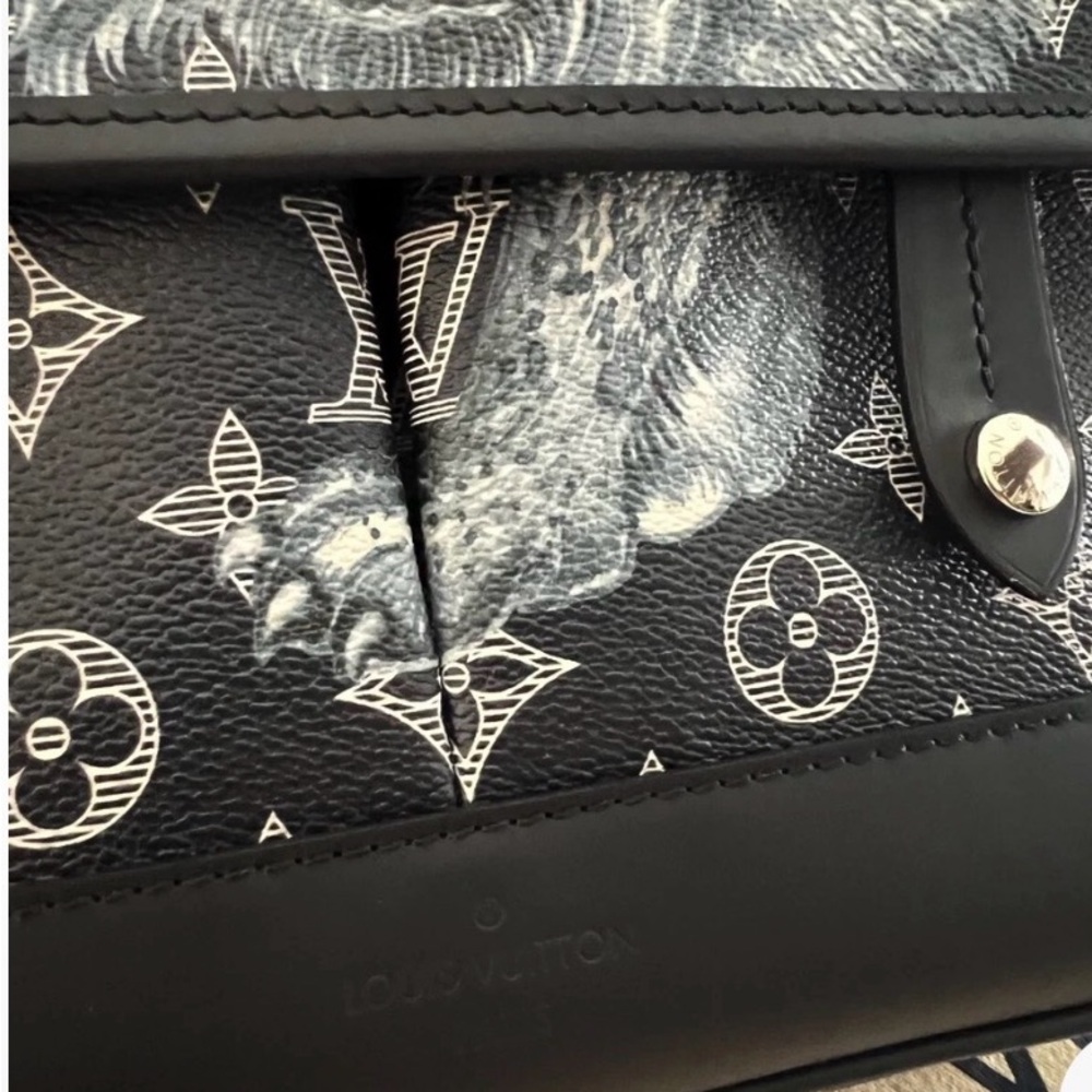 Louis Vuitton Monogram Savane Messenger PM men’s bag - Picture 8 of 9